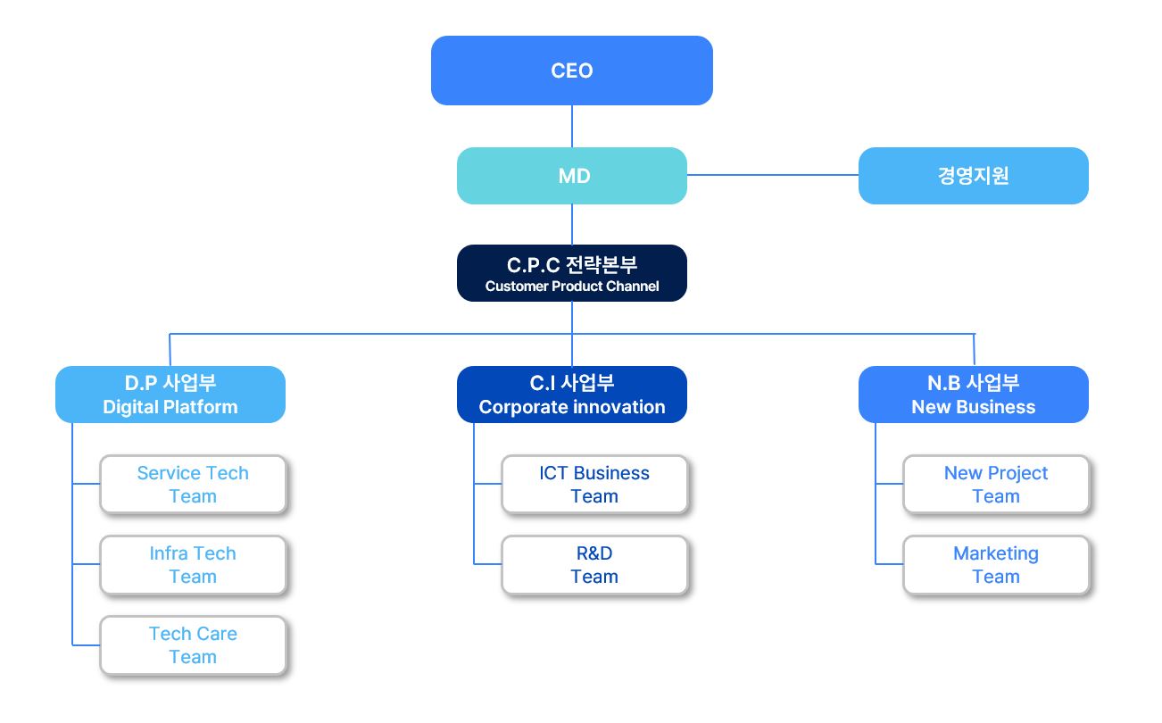 주식회사 넷플러스 조직도